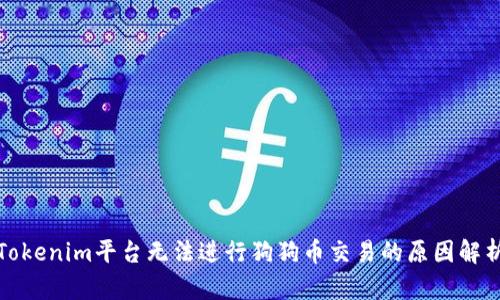 Tokenim平台无法进行狗狗币交易的原因解析