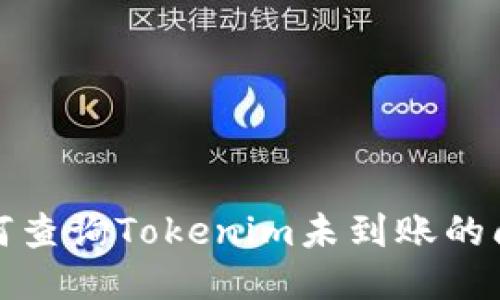 如何查询Tokenim未到账的问题