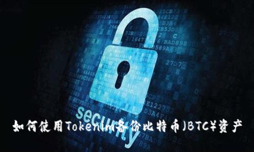 如何使用Tokenim备份比特币（BTC）资产