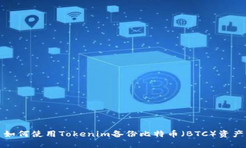 如何使用Tokenim备份比特币（BTC）资产