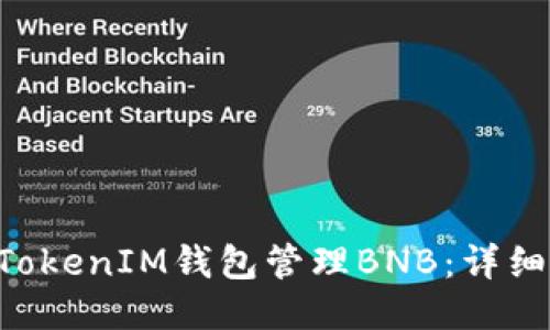 如何使用TokenTokenIM钱包管理BNB：详细指南与使用技巧