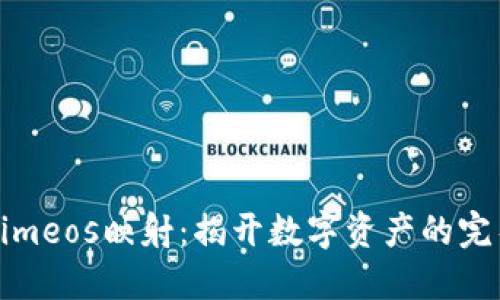 Tokenimeos映射：揭开数字资产的完整图景