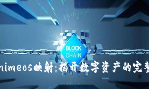 Tokenimeos映射：揭开数字资产的完整图景