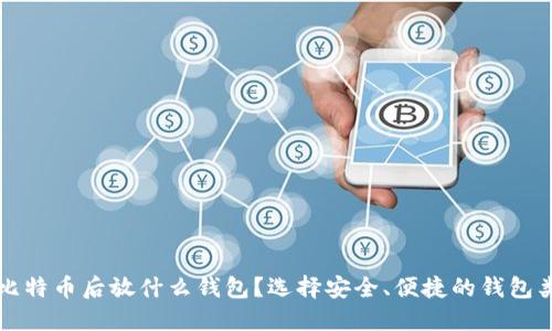 买比特币后放什么钱包？选择安全、便捷的钱包类型