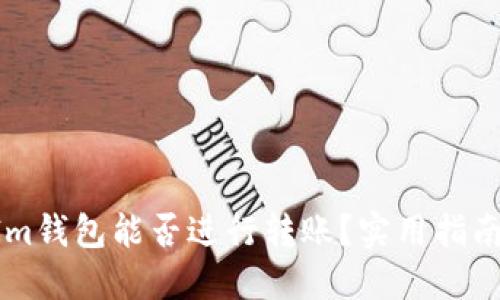 TokenIm钱包能否进行转账？实用指南与技巧