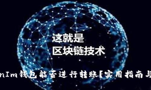 TokenIm钱包能否进行转账？实用指南与技巧