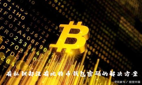 有私钥却没有比特币钱包密码的解决方案