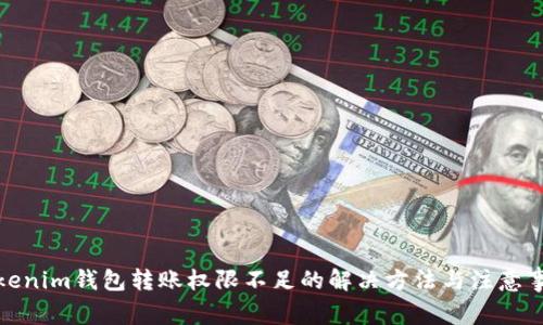 Tokenim钱包转账权限不足的解决方法与注意事项