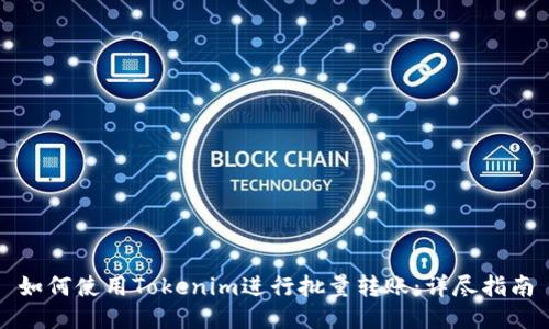 如何使用Tokenim进行批量转账：详尽指南