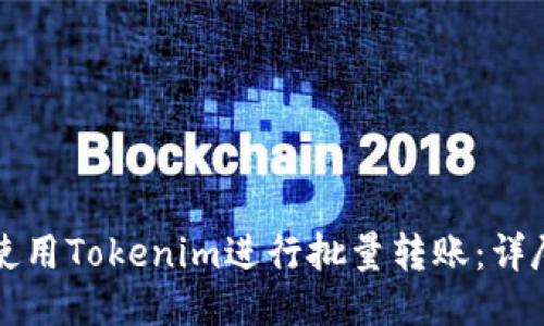 如何使用Tokenim进行批量转账：详尽指南