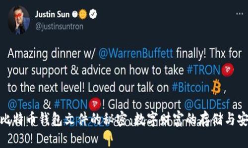 : 比特币钱包文件的秘密：数字财富的存储与安全