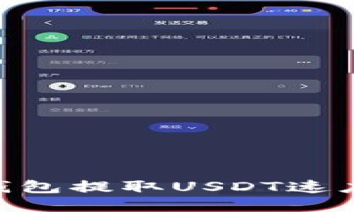 Tokenim钱包提取USDT速度提升指南