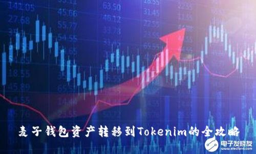 麦子钱包资产转移到Tokenim的全攻略