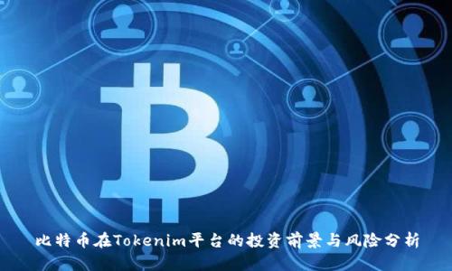 比特币在Tokenim平台的投资前景与风险分析