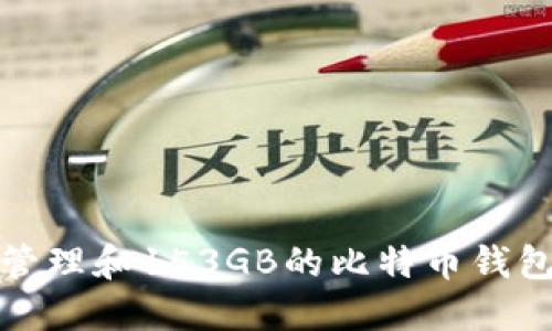 如何管理和153GB的比特币钱包数据