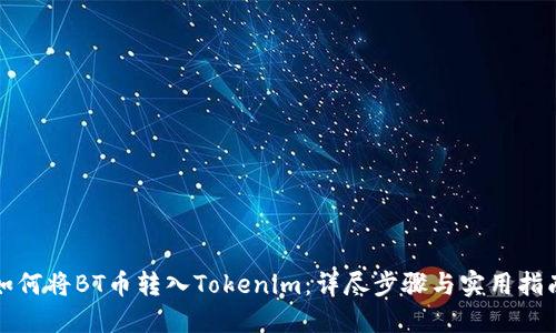 如何将BT币转入Tokenim：详尽步骤与实用指南