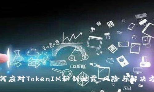 如何应对TokenIM秘钥泄露：风险与解决方案