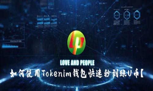 如何使用Tokenim钱包快速秒到账U币？