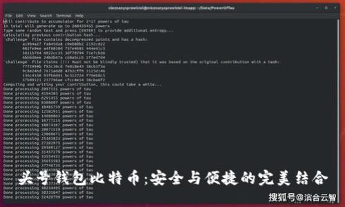 头号钱包比特币：安全与便捷的完美结合