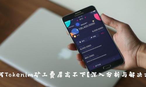 为何Tokenim矿工费居高不下？深入分析与解决方案