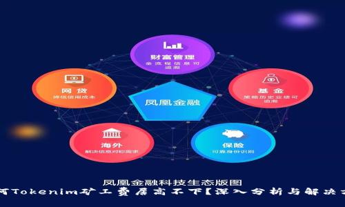 为何Tokenim矿工费居高不下？深入分析与解决方案