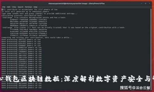 核心钱包区块链数据：深度解析数字资产安全与管理