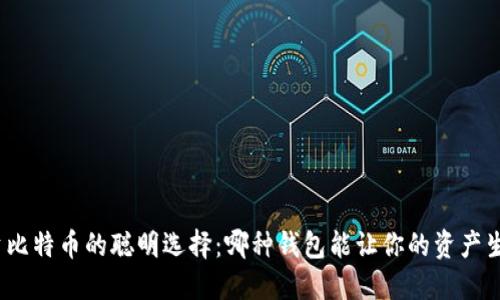 投资比特币的聪明选择：哪种钱包能让你的资产生息？