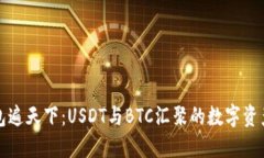 一钱包遍天下：USDT与BTC汇聚的数字资产世界