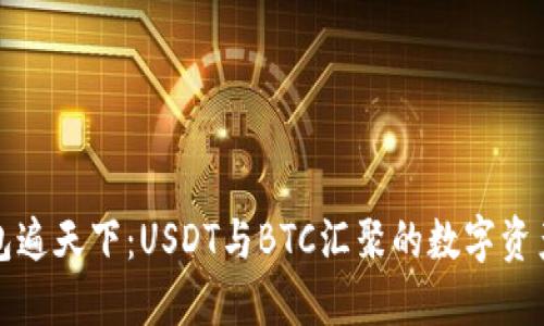 一钱包遍天下：USDT与BTC汇聚的数字资产世界