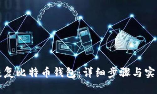 如何恢复比特币钱包：详细步骤与实用技巧