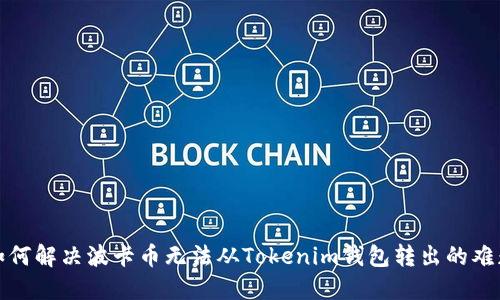 如何解决波卡币无法从Tokenim钱包转出的难题