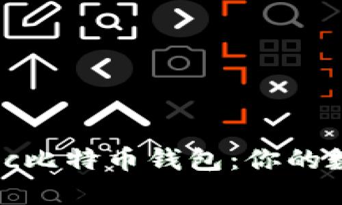 如何安全使用elec比特币钱包：你的数字资产保护指南