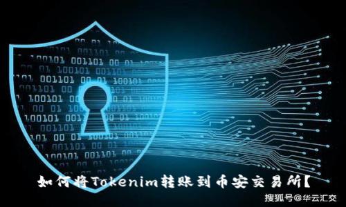 如何将Tokenim转账到币安交易所？