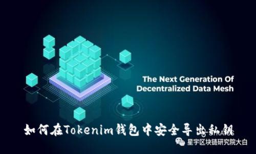 如何在Tokenim钱包中安全导出私钥