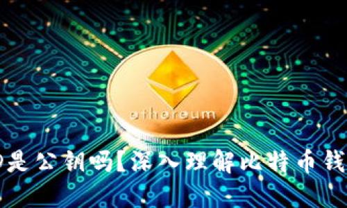 比特币钱包ID是公钥吗？深入理解比特币钱包的基本概念