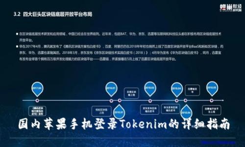 国内苹果手机登录Tokenim的详细指南