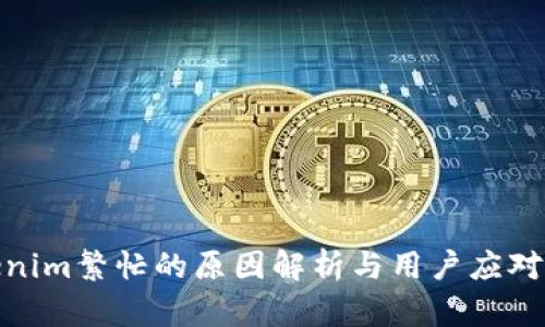 Tokenim繁忙的原因解析与用户应对策略