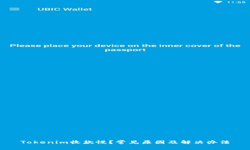 Tokenim收款慢？常见原因及解决办法