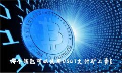 哪个钱包可以使用USDT支付矿工费？