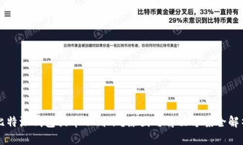 比特派钱包提币不到账？原因与解决方案全解析