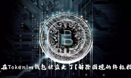 币在Tokenim钱包被盗走了？解除困境的终极指南