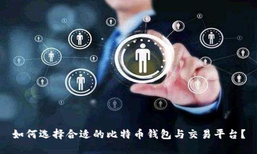 如何选择合适的比特币钱包与交易平台？