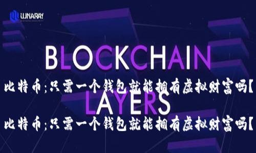 比特币：只需一个钱包就能拥有虚拟财富吗？

比特币：只需一个钱包就能拥有虚拟财富吗？