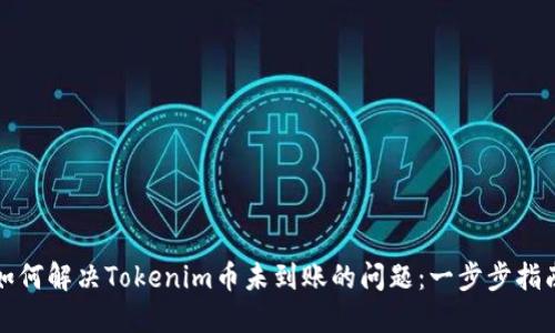 如何解决Tokenim币未到账的问题：一步步指南