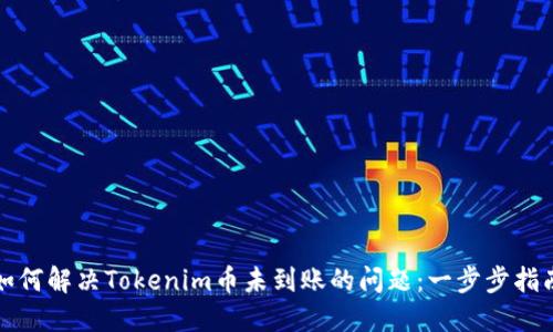 如何解决Tokenim币未到账的问题：一步步指南
