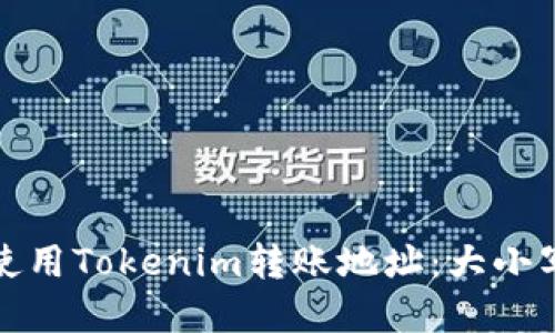 如何正确使用Tokenim转账地址：大小写的重要性