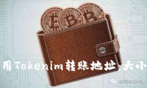 如何正确使用Tokenim转账地址：大小写的重要性