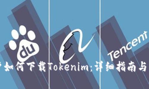 国内用户如何下载Tokenim：详细指南与注意事项