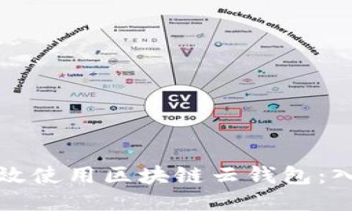 如何高效使用区块链云钱包：入门指南