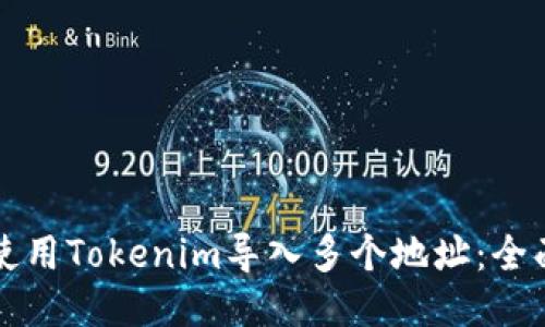 如何使用Tokenim导入多个地址：全面指南
